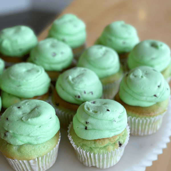 Mint Chocolate Chip